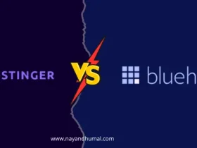 Hostinger vs. Bluehost Which Hosting Provider Suits Your Needs