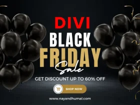 Divi Black Friday Sale