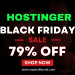 Hostinger Black Friday Deals