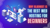 Why Bluehost is the Best Web Hosting for Beginners (And How to Get Started)
